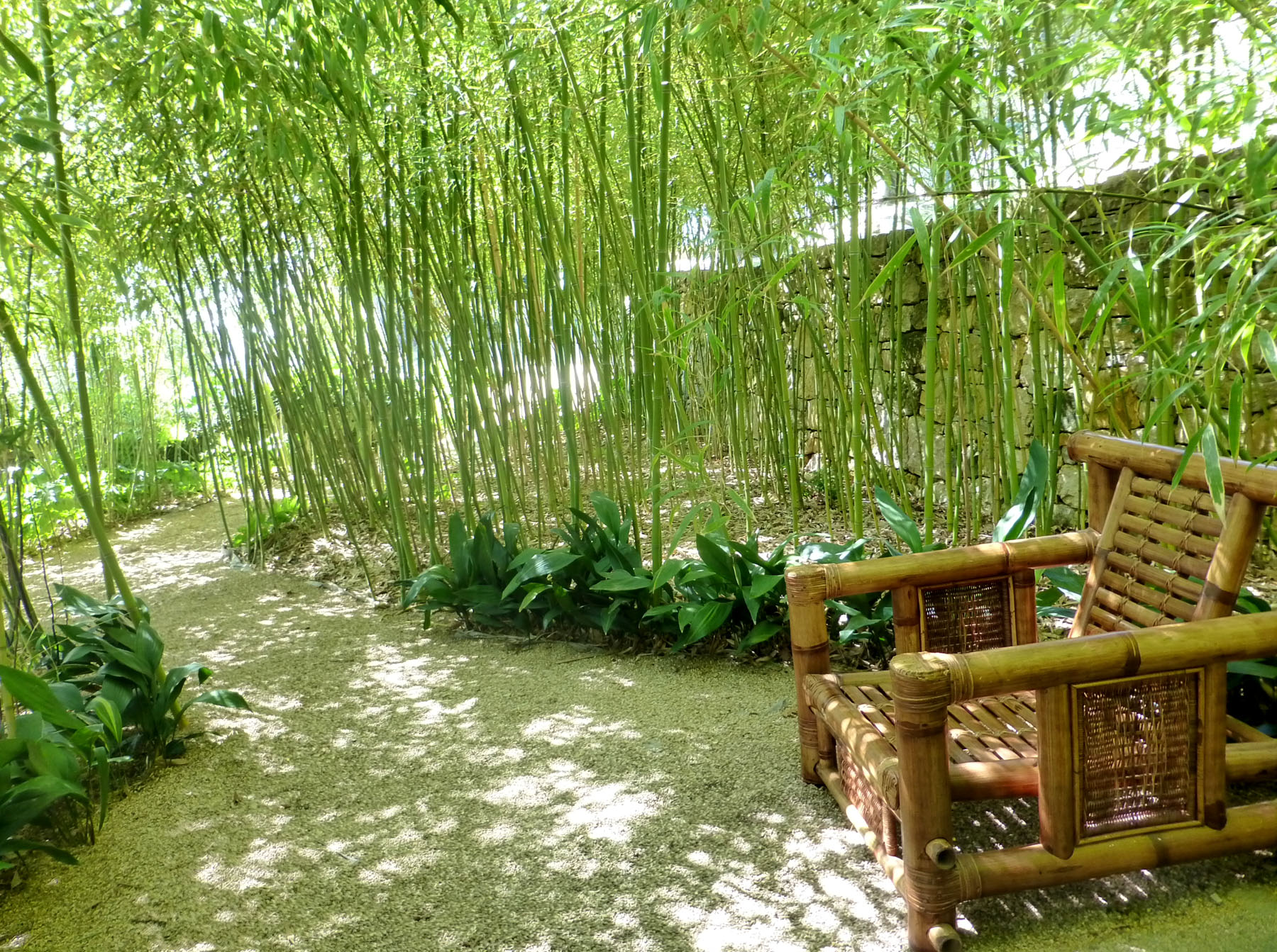 Bamboo Garden - La Mouissone Olive Grove & Gardens